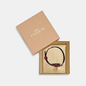 NWT Coach Boxed Large Pet Collar In Signature Canvas CH154